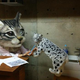 Illustration for article titled You Can Wear This Freaky Cat Head in Tokyo